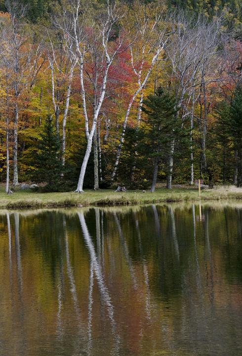 04 Crawford Notch 7258.jpg